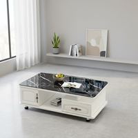 Table basse de salon avec panneau décoratif pour petites maisons, luxe moderne, nouveau mobilier 2025, acier inoxydable, marbre