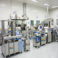 Machine à fabriquer des momo et des baozi, certifiée CE, hautement automatique, capacité de 120 kg/h, ligne de production de pains farcis à la vapeur, marque réputée, pour usage domestique et hôtelier