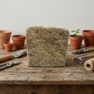 Hot <strong>Sales</strong> Direct Guangxi Origin Agriculture Horticultural Garden Use Simple Style Plant Growth Ground Coverings <strong>Sphagnum</strong> <strong>Moss</strong> - Product Image 5