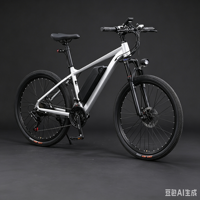 Vélo Électrique Adulte Personnalisable avec Logo, Jantes en Acier Allié, Charge Maximale 160 kg, Autonomie 60 km, Vente en Gros Transfrontalière Mondiale