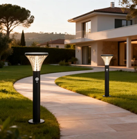 Lampe solaire LED de projection pour jardin extérieur, pelouse, villa, cour, allée, parc, décoration paysagère