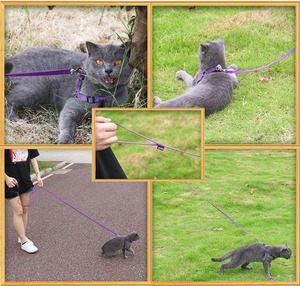 Fabricante personalizado nuevo diseño mascota perro Correa larga obediencia recordar pie pies entrenamiento plomo collar Correa mascotas collar perro Correa - Product Image 6