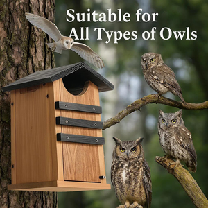 Tùy Chỉnh Sóc Nhà Screech Barn Owl Hộp Vịt Tổ Nơi Trú Ẩn Tuyết Tùng Chim Nhà Cho Bên Ngoài Mộc Mạc Lớn Nhà Chim Lồng Hộp - Product Image 5