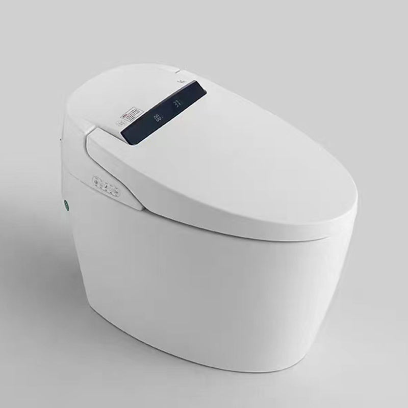 Basic-sans réservoir d'eau + tension 220V