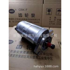 Pompe hydraulique à double engrenage sur mesure CBK1010/4 B4FR - Product Image 2