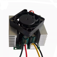 Module Buck-Boost Automatique Haute Intensité YJ, Alimentation Haute Tension 15-200V, Courant et Tension Constantes 24V-96V, 48V60V, 58x58x30mm