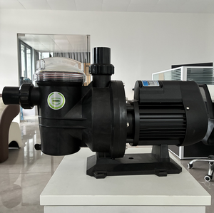 <span class=keywords><strong>Pompe</strong></span> de <span class=keywords><strong>piscine</strong></span> EMAUX au meilleur prix, 1HP, 2HP, 3HP, <span class=keywords><strong>pompe</strong></span> de <span class=keywords><strong>piscine</strong></span> standard <span class=keywords><strong>pour</strong></span> eau de mer - Product Image 3