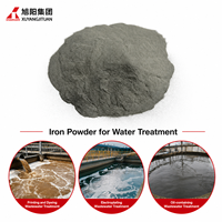 Poudre d'aimant de fer pour le traitement de l'eau, élimination des métaux lourds, dégradation des DCO, adsorbant et réducteur de fer réduit