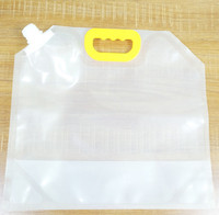 Poche à boisson pliable en plastique transparent de 5 L avec bec verseur, emballage pour eau, boissons, vin, bière, jus, sac de stockage de liquides pour l'extérieur