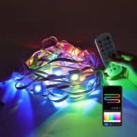 Guirnalda de Luces LED Inteligentes KCX RGBIC Magic Color con Control Remoto, Control por Aplicación, Resistente al Agua IP68 para Decoración del Hogar