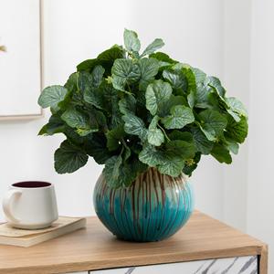 Plante verte artificielle Meng Jie, feuilles de begonias, 30 cm-100 cm, décoration de bureau, arrangement floral pour mariage - Product Image 3