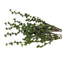 Plante décorative Xiaomi Fruit Millet à toucher réel, plante paysagère, ornement de jardin, fleur artificielle, herbe en plastique