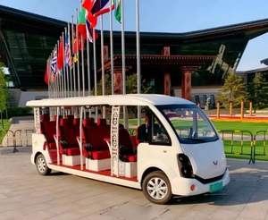 Autobús Turístico de 8 Plazas de Nueva Energía, Minibús Turístico de Lujo Wuling de Alta Calidad con Tracción en las Cuatro Ruedas - Product Image 2
