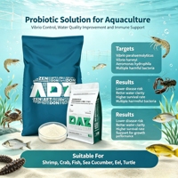 Supplément inhibiteur de Vibrio pour l'aquaculture, réduit les Vibrio nocifs, améliore le taux de survie aquatique pour les crevettes, crabes, anguilles et tortues