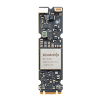 Techvision 1710R RK1828 Edge AI Accelerator 20 TOPS M.2 2280 NPU Co-Processor Modul AI Plug-and-Play untuk SMARC 2.1 SOMs