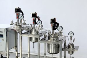 Réacteur CSTR de laboratoire bibo en acier inoxydable 316 (Cuve de réaction) avec moteur et chauffage intégrés - Product Image 3