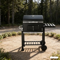 Barbecue d'extérieur en céramique, gril commercial au charbon de bois et au gaz, réchaud à thé et fruits en céramique pour camping