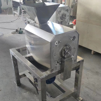 Kleine Pulping Fruit Pulper Mango Sap Verwerking Pulp Machine Prijs