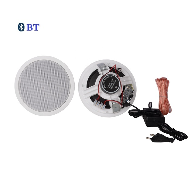2021 NEW Active Wireless Speaker Home Theater System for in Ceiling Speaker With BT