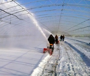 Sopladora de Nieve para Césped Artificial, Quitanieves a Gasolina para Comunidades Residenciales y Plazas - Product Image 6
