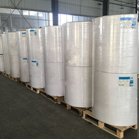 Papel Térmico en Rollo Jumbo de Fábrica Stanyoar, 875 mm de Ancho, 2000 mm de Largo, Modelo de Proveedor de Papel de Oficina de China, Sin BPA, Premium