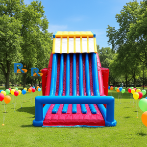 Tobogán Inflable Gigante de PVC Personalizado para Adultos y Niños, Toboganes Inflables Secos para Entretenimiento, Tobogán Inflable Grande - Product Image 2