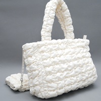 Nouveau style 2025 : Ensemble sac fourre-tout plissé effet nuage, grande capacité, sac à bandoulière matelassé et rembourré avec petite pochette pour femme, décontracté