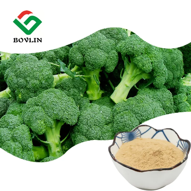 Organic Broccoli Extract Powder 1% Sulforaphane