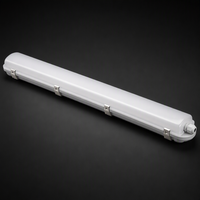 Lámpara LED Tri-proof de 40W IP66 para Chip, 4800LM, 120lm/W, 1.2m, para Almacenes, Certificación CE/CB, Garantía de 5 Años