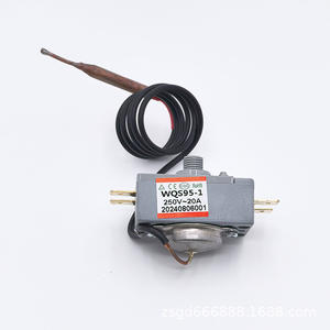 Thermostat capillaire WQS95-1 250V-20A avec protection contre la surchauffe pour chauffe-eau - Product Image 1