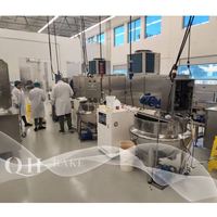 2025 nuevo diseño de alta calidad completamente automático Jelly Candy Gummy Candy que hace la máquina para el precio de fábrica barato