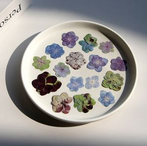 Hortensia <span class=keywords><strong>Macrophylla</strong></span> natural de doble flor, planta real seca y prensada para decoraciones de Navidad o Pascua - Product Image 4