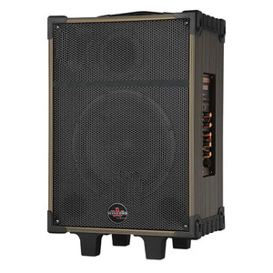 10 Inch 80W <b>Bluetooth</b> Portable Speaker With SD <b>USB</b> Rechargeable Trolley Design - Product Image 1