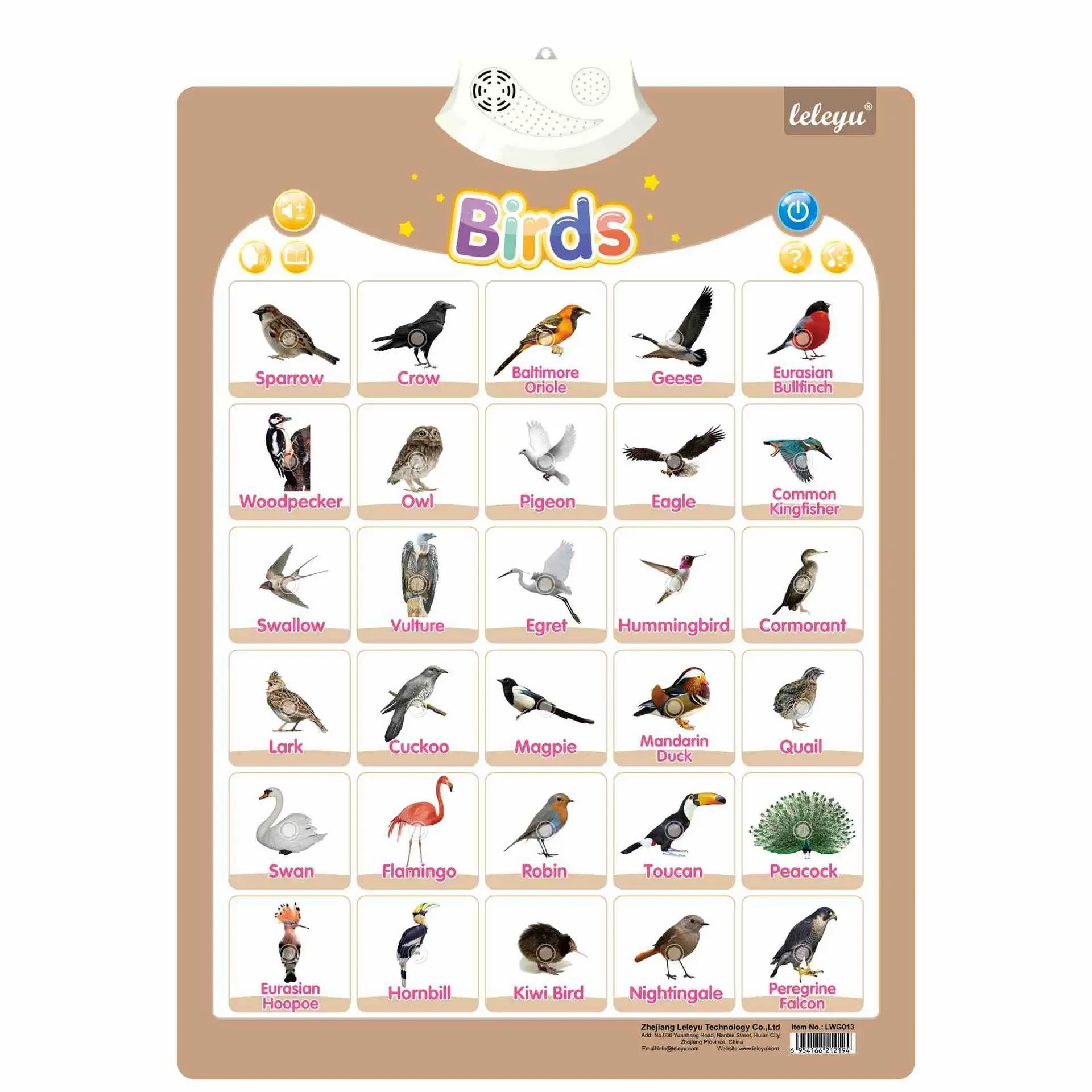צעצוע חינוכי מוקדם ציפורים מדברות תרשימי קיר מכונת לימוד צעצוע אודיו לילדים
