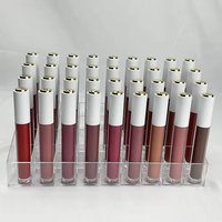 Prix de gros Échantillon gratuit de brillant à lèvres nouvellement stylisé Rouge à lèvres longue durée Brillant à lèvres végétalien de marque privée