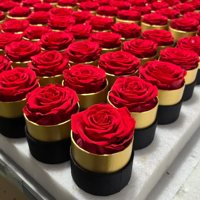 Lovebay Valentine Muttertag geschenk Ewige einzelne Rose 7 Rosen Unsterbliche konservierte Blume Longlife konservierte Rosen in runder Schachtel