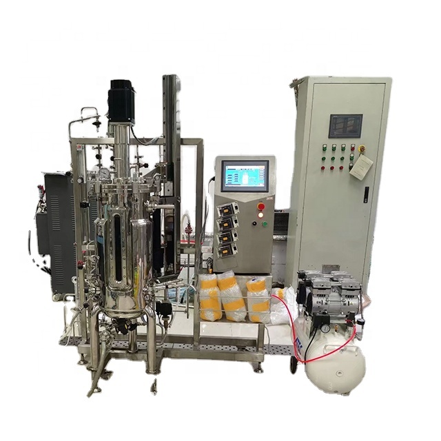 Multi-stage seed tank fermentor bioreactor