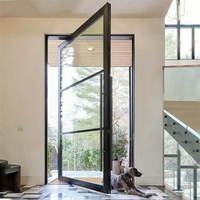 Porte d'entrée pivotante en aluminium, porte vitrée moderne pour villa de luxe, extérieur de maison, entrée principale résidentielle