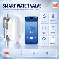 Vanne à boisseau sphérique motorisée DN20, contrôle électrique du débit, utilisation d'eau réglable, surveillance de la température, contrôle via application WiFi Tuya