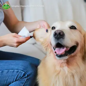 Bio-Augen tücher Hunde tücher Natürliche umwelt freundliche biologisch abbaubare Bambus hunde Augen reinigung Oem Pet Wet Wipes