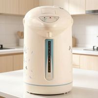 Approvisionnement direct usine Distributeur d'eau électrique à double distribution avec pompe manuelle 3.0L pour cuisine familiale et salle à manger