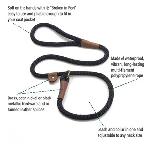 Correa deslizante-Combo de Correa y Collar para perros-Hecho en China-Negro, <span class=keywords><strong>3</strong></span>/8 pulgadas X 6 pies-para razas pequeñas/Medianas - Product Image 2