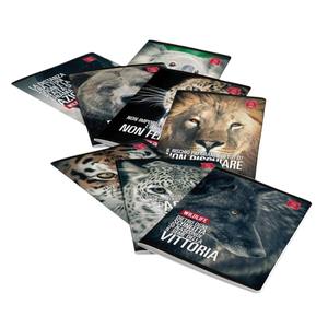 PIGNA - CUADERNO MAXI WILDLIFE MEME CON 42 HOJAS A4 REVESTIDAS SORTEADAS - Product Image 1