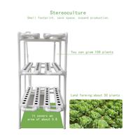Système hydroponique commercial et industriel avec pompe, tuyau PVC, tube NFT, conception verticale