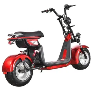 Best Hot Selling Electric Scooter Citycoco 2 Wheel Lithium Battery Electric Scooters Wholesale Citycoco Scooter Citycoco 3000W