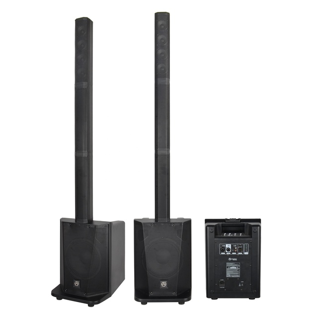Accuracy Pro Audio D410D5-GO Professional DJ SET BT Sound System Column Battery Portable PA System