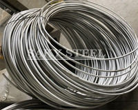 Edelstahl-Weichdraht 0,1mm 1mm 0,08mm 0,7mm Edelstahldraht 201 Edelstahl-Draht