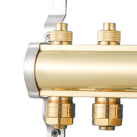 Collecteur de chauffage au sol en laiton PEX de conception moderne avec garantie de qualité pour système de distribution d'eau de chauffage hydronique pour chauffage au sol