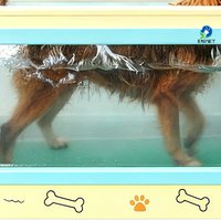 Máquina de Entrenamiento para Perros EUR PET, Cinta de Correr Subacuática para Hidroterapia de Mascotas, Cinta de Correr Hidráulica para Entrenamiento de Perros