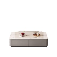 Ensemble de Meubles Modernes en Bois Simple de Luxe, Meuble TV Portable, Table Basse en Ardoise Claire pour Salon Maison et Petits Appartements